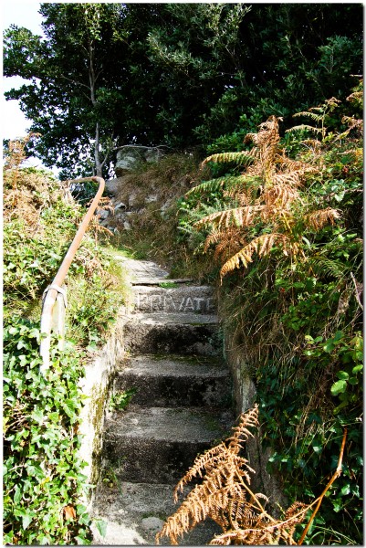 Not the Nature Path