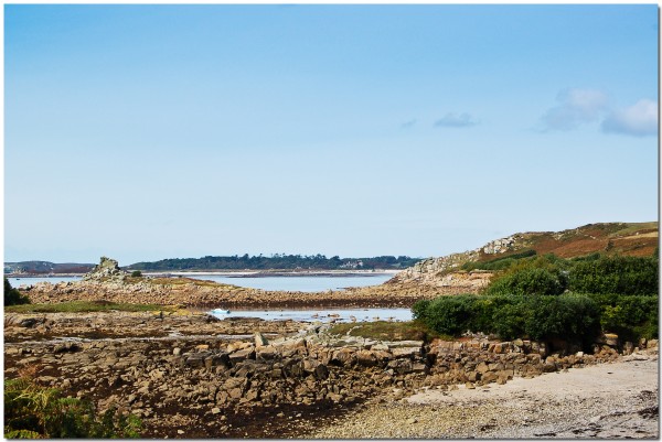 Coastal View