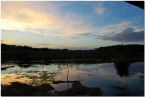 Sunset on the Habitat Trail