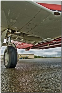 Under Wing