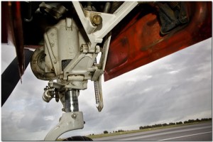 Nose Strut